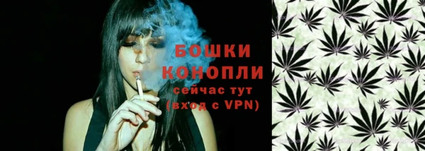 шишки Мегион