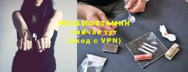 шишки Мегион