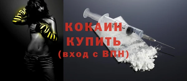 шишки Мегион