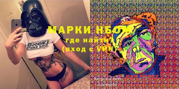 СК Медвежьегорск