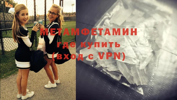 шишки Мегион