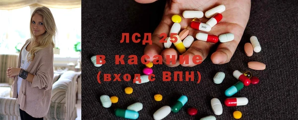 СК Медвежьегорск