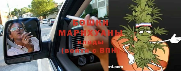 шишки Мегион