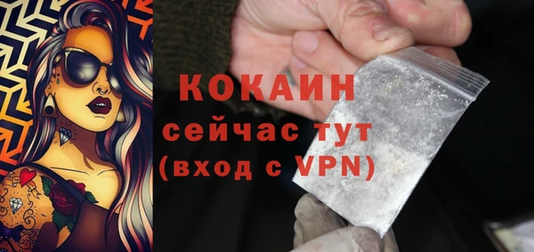 СК Медвежьегорск
