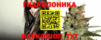 ПСИЛОЦИБИНОВЫЕ ГРИБЫ Беслан