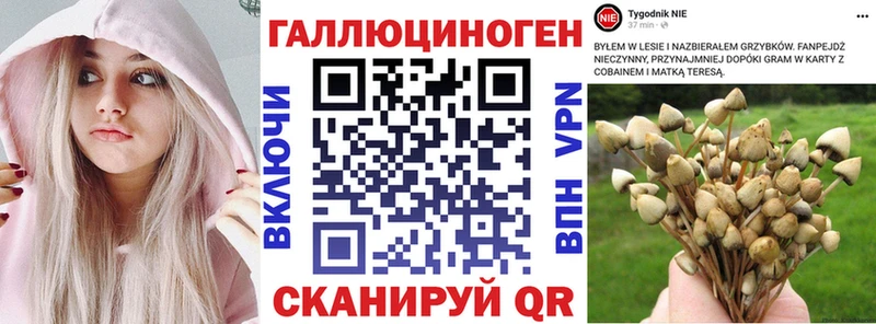 где продают мега ONION Псилоцибиновые грибы Cubensis Екатеринбург