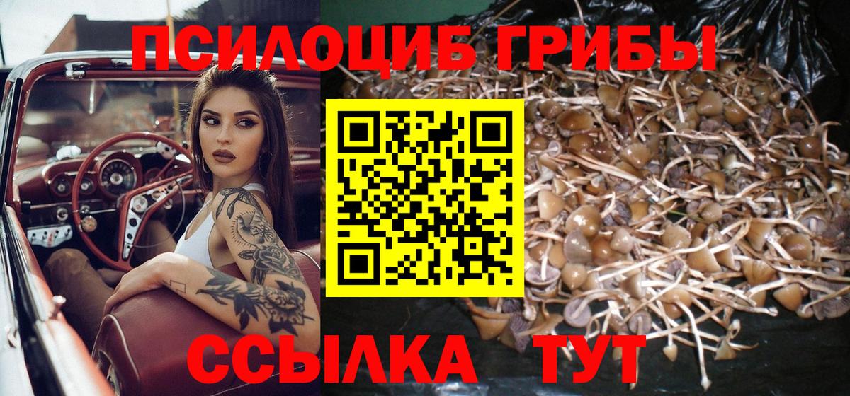 Галлюциногенные грибы Psilocybine cubensis  магазин    Екатеринбург  Вход с VPN  Галлюциногенные грибы ЛСД 