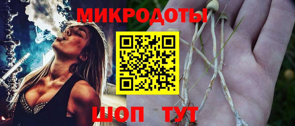 Псилоцибиновые грибы Cubensis Екатеринбург